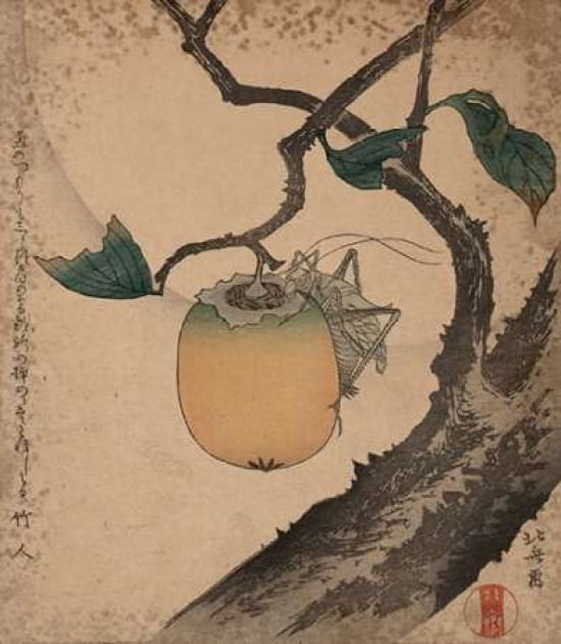 Grasshopper eating persimmon 1850 Canvas Art - Hokusai (24 x 24)