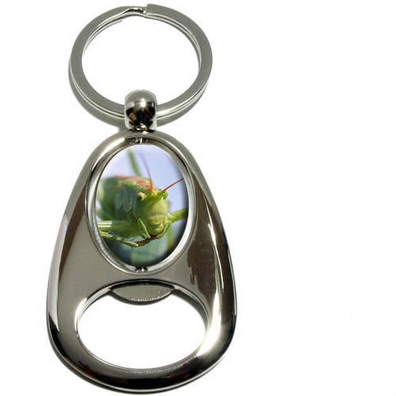 Grasshopper on Leaf, Chrome Plated Metal Spinning Oval Design Bottle Opener Keychain Key Ring