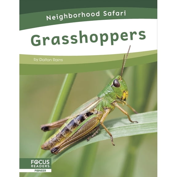 Grasshoppers, (Paperback)