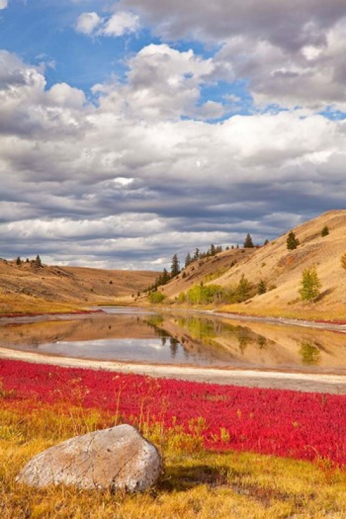 Grassland landscape Lac Du Bois Grasslands Park Kamloops BC Canada Canvas Art - Jaynes Gallery DanitaDelimont (19 x 28)