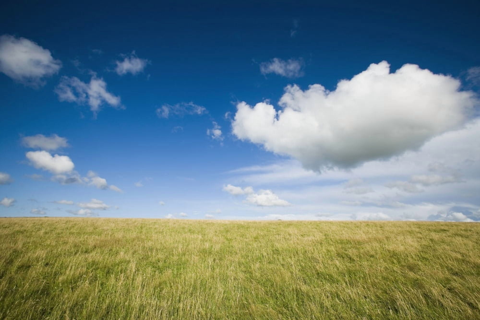 Grassy Field On Hill With Blue Skies And Clouds Canvas Art - Naki Kouyioumtzis Design Pics (38 x 24)