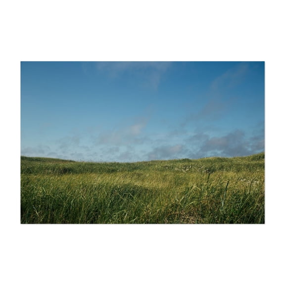 Grassy Field - Washington Photography Nature Landscape Pastoral Scenic Countryside Summer Rural Unframed Wall Art Print 8 x 12 inches