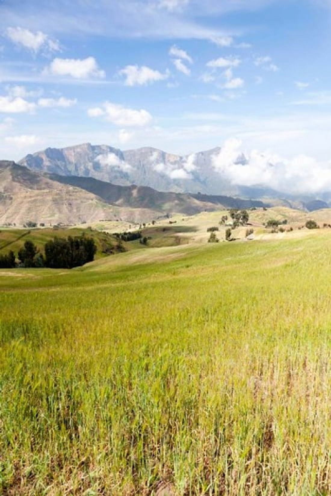 Grassy plains Semien Mountains National Park Ethiopia Canvas Art - Martin Zwick DanitaDelimont (18 x 24)