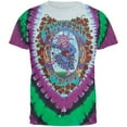 thumbnail image 1 of Grateful Dead Men's Seasons Of The Dead Tie Dye T-shirt Large Multi, 1 of 2