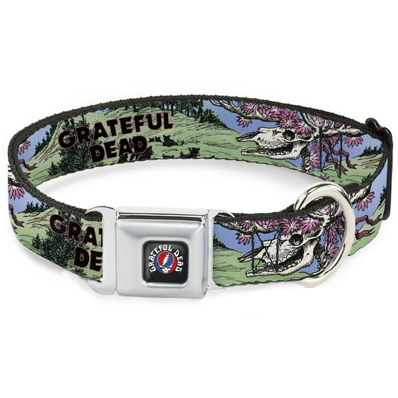 Grateful Dead Pet Collar, Dog Collar Metal Seatbelt Buckle, Grateful Dead Dave'S Picks Volume Nine Montana Cover Art, 9.5 to 13 Inches 1.0 Inch Wide