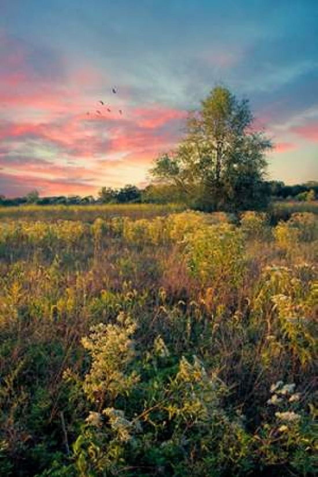 Grateful for The Day Canvas Art - John Rivera (20 x 28)