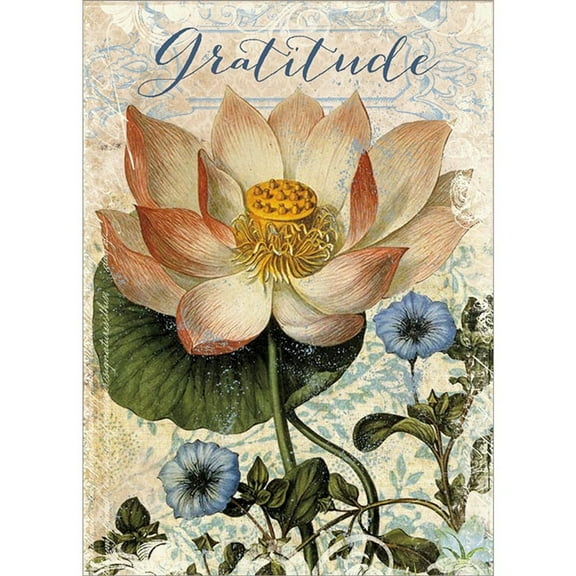 Gratitude Thank You Greeting Cards (6 Pack)