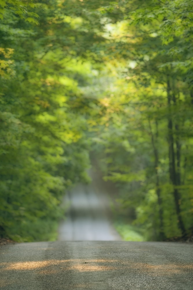 Gravel Road Niagara Region Pelham Ontario Canvas Art - Darwin Wiggett Design Pics (22 x 34)