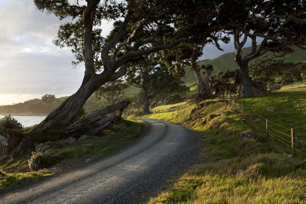 Gravel seaside road at sunset Coromandel area North Island New Zealand Canvas Art - Jean Desy Design Pics (19 x 12)