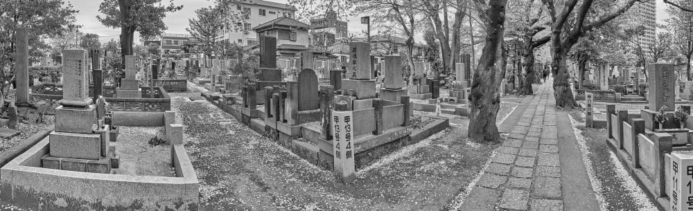 Gravestones in a cemetery Yanaka Cemetery Taito Tokyo Japan Canvas Art - Panoramic Images (36 x 12)