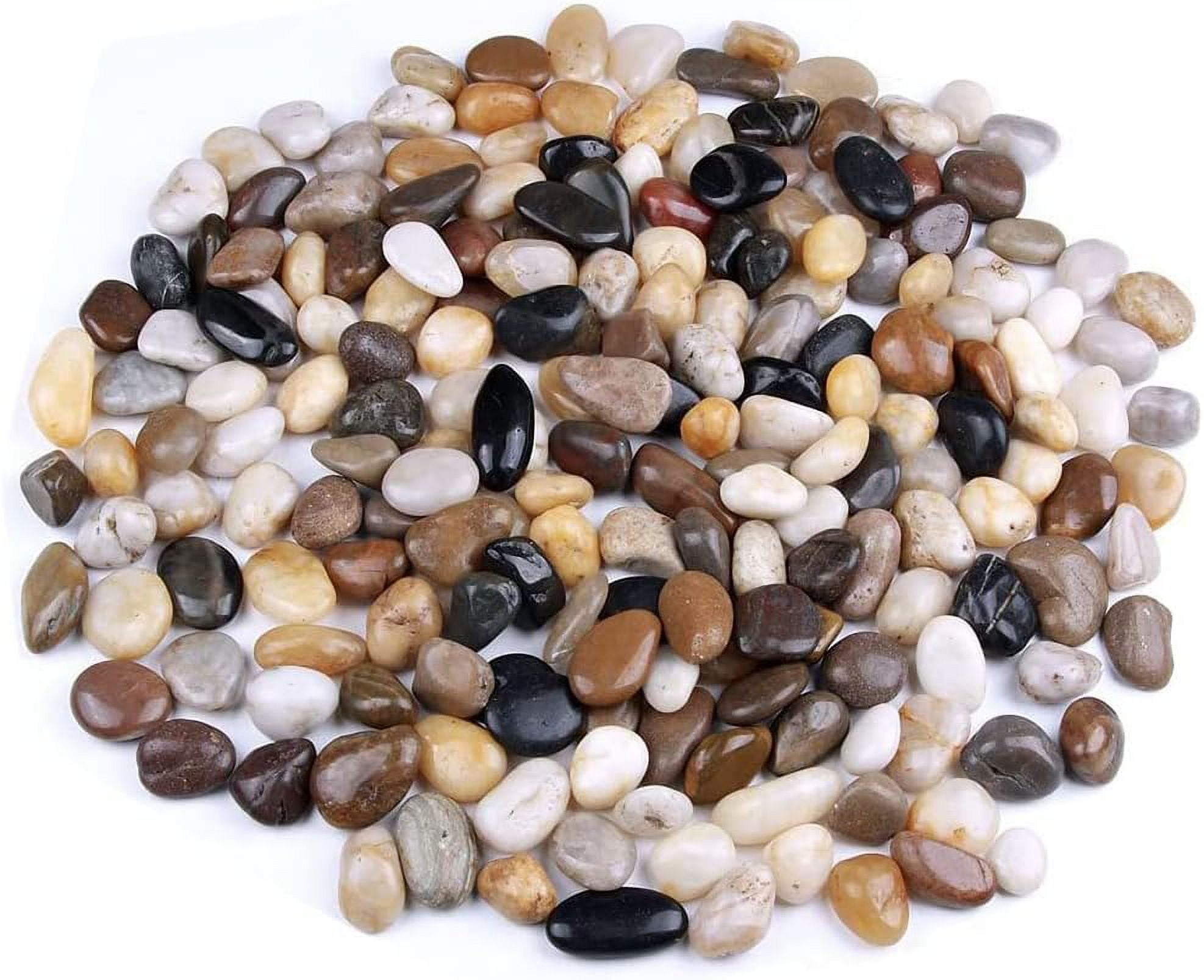 Gravier Poli de Galets, Pierres de Couleur mélangées polies Naturelles ...