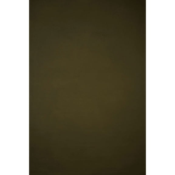 Gravity Backdrops Hand Painted Classic Collection Canvas Low Texture Backdrop, 8.9x13', Olive Green