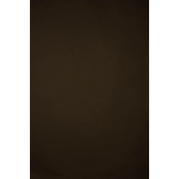 Gravity Backdrops Hand Painted Classic Collection Canvas Low Texture Backdrop, 8.9x19.7', Brown