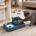 thumbnail image 1 of Gravity Cat Dog Bowl 2 in 1 Stainless Steel Automatic Water Dispenser, Pet Food Feeder with Self-Refilling Bowl, Non-Slip Base Anti-Spill Divided Dish, Easy Clean for Small Medium Pets, 1 of 5