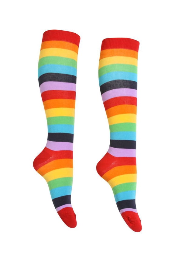 Stripe Rainbow Socks Long