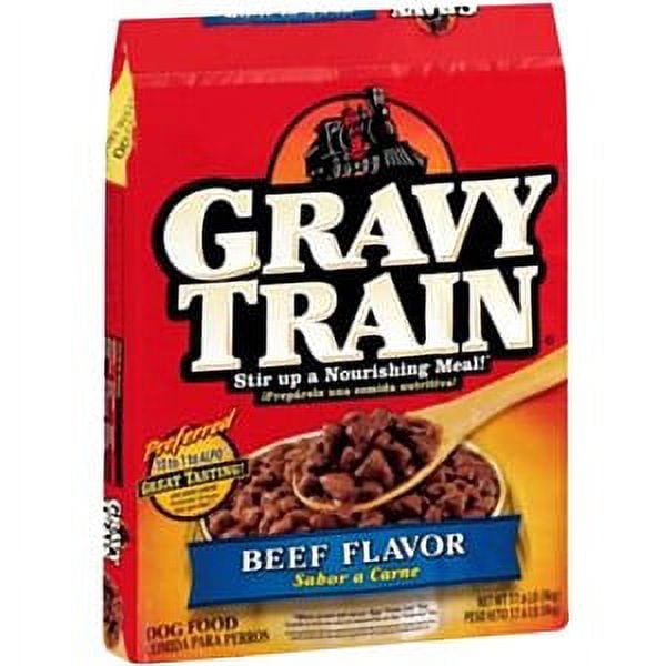 Gravy Train Beef Flavor Dog Food, 100% Complete Nutrition, 16.4lbs Bag