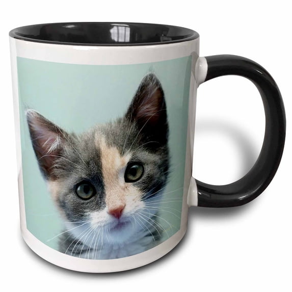 3drose, Gray and White Kitten Face, 15oz Two-tone Black Mug