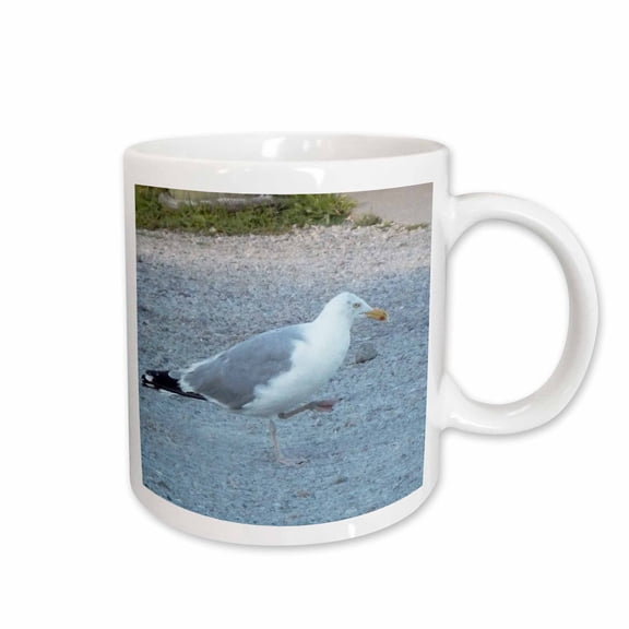 3drose, Gray and White Seagull Prancing on Rocky Beach, 15oz Mug