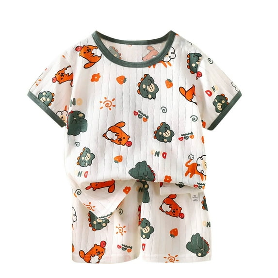 Gray Boy Girl Children Boy Girl Moon Graphic Tops Tshirts Pants Shorts Sets for Kid Match Brunch Cute Animal Two Piece Straight Leg Fall Summer Pants Sets Button 2025 Clothes 4 Years