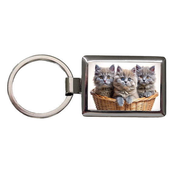 Gray British Longhair Kittens In A Basket Metal Rectangle Keychain