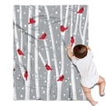 thumbnail image 1 of Gray Christmas Cardinal Bird Pattern Blanket,Comfortable Soft Flannel Throw Blanket,All Season,Warm Lightweight Blankets for Sofa Bed Couch Living Room Chair,30"x40", 1 of 4