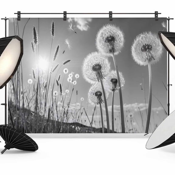 Gray Dandelion Photography Backdrop 7x5FT, Flower Leaf Sun Sky Natural Plants Photo Backdrops, Background for Photography Studio Photo Studio Background, Back Drop for Photoshoot