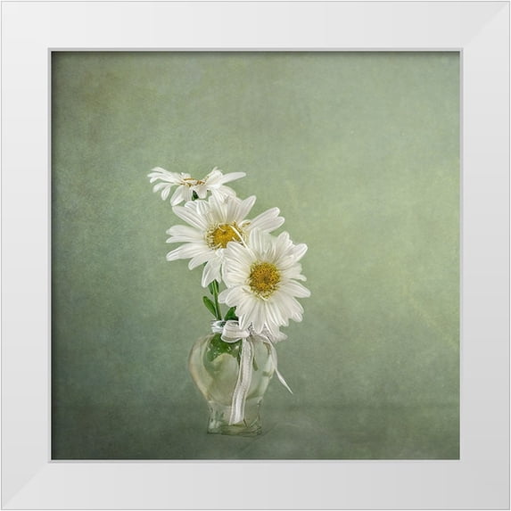 Gray, Gaille 26x26 White Modern Wood Framed Museum Art Print Titled - 3 White Daisies