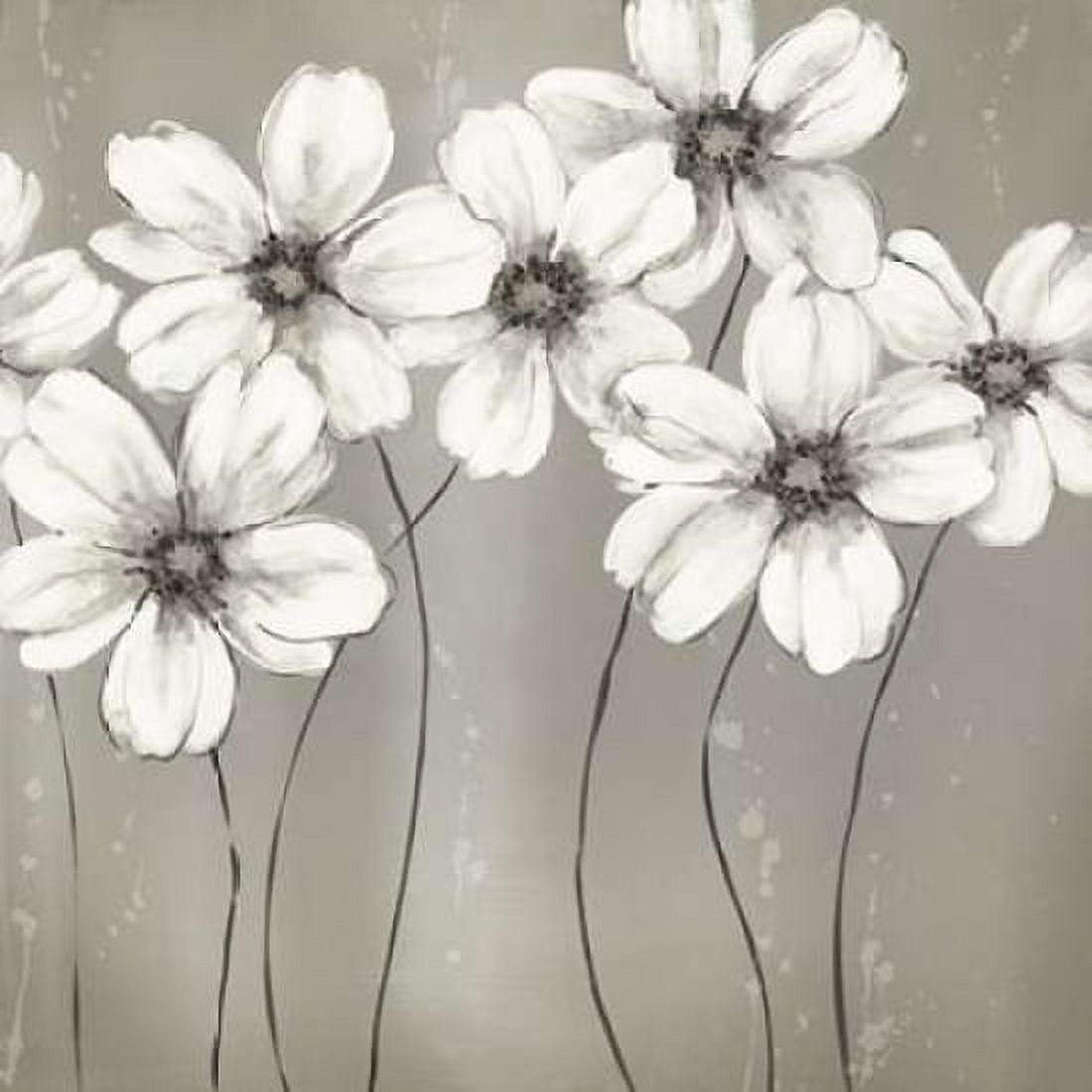 Gray Garden Canvas Art - Carol Robinson (24 x 24)