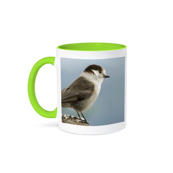 Gray Jay Bird, Earned Nickname Camp Robber - Us48 Tdr0165 - Trish Drury, 11oz Two-Tone Green Mug