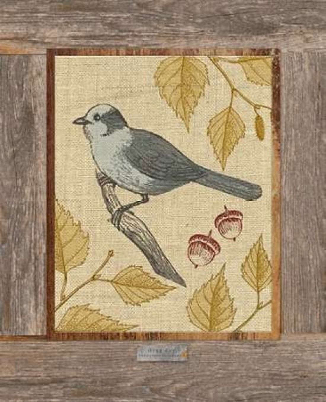 Gray Jay Canvas Art - Sam Appleman (20 x 24)