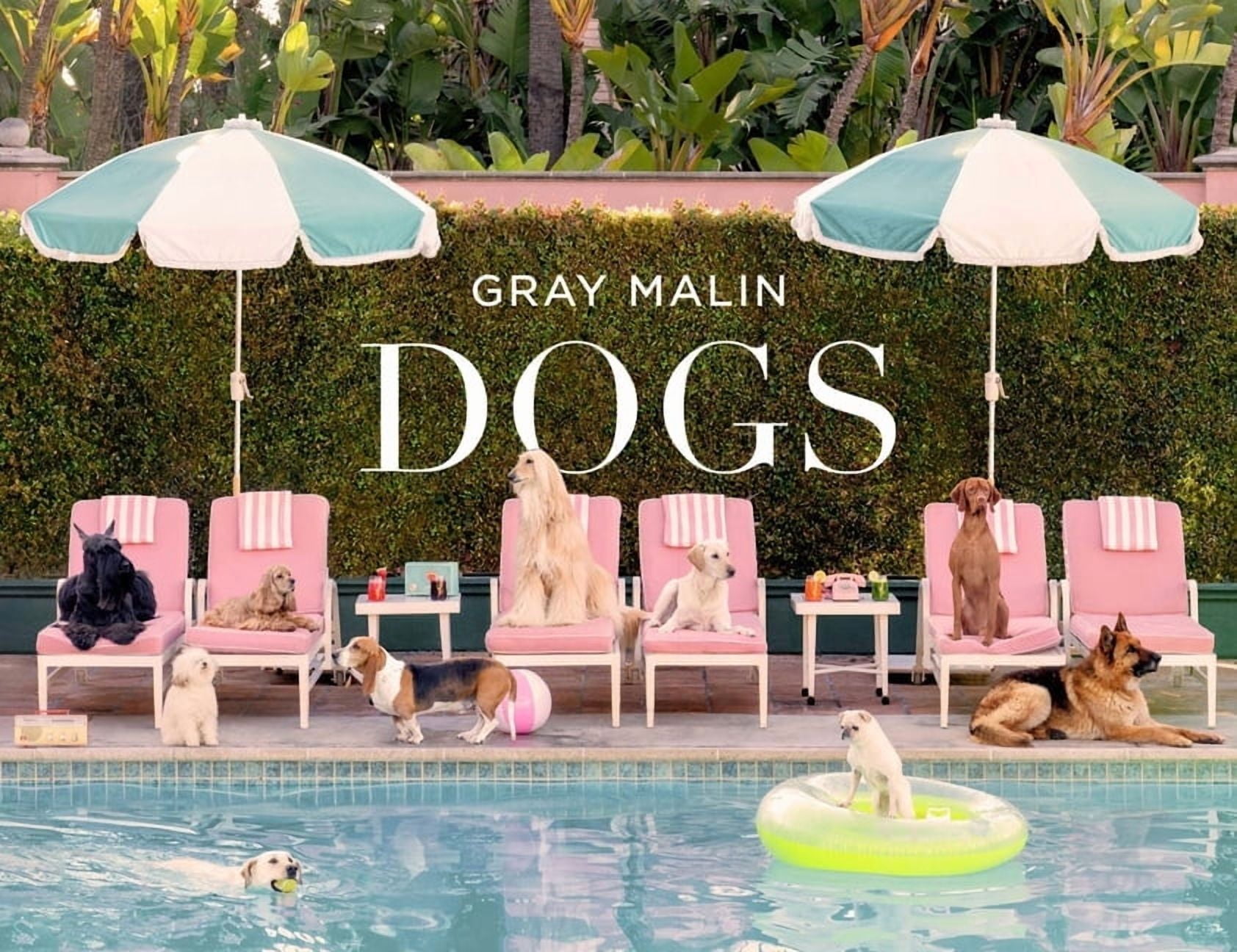 Gray Malin: Dogs: Photographs, (Hardcover)