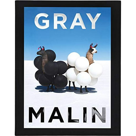 Pre-Owned Gray Malin: The Essential Collection (Hardcover) 1419750267 9781419750267