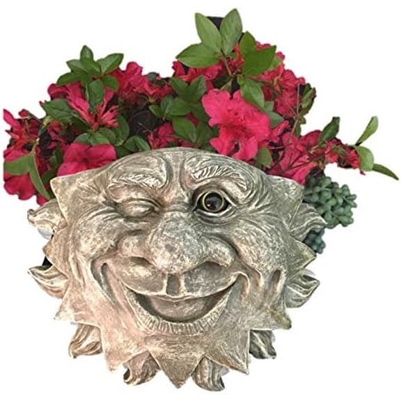 Gray Mr. Sun Shine Face Tree & Wall Statue Planter$$Garden &