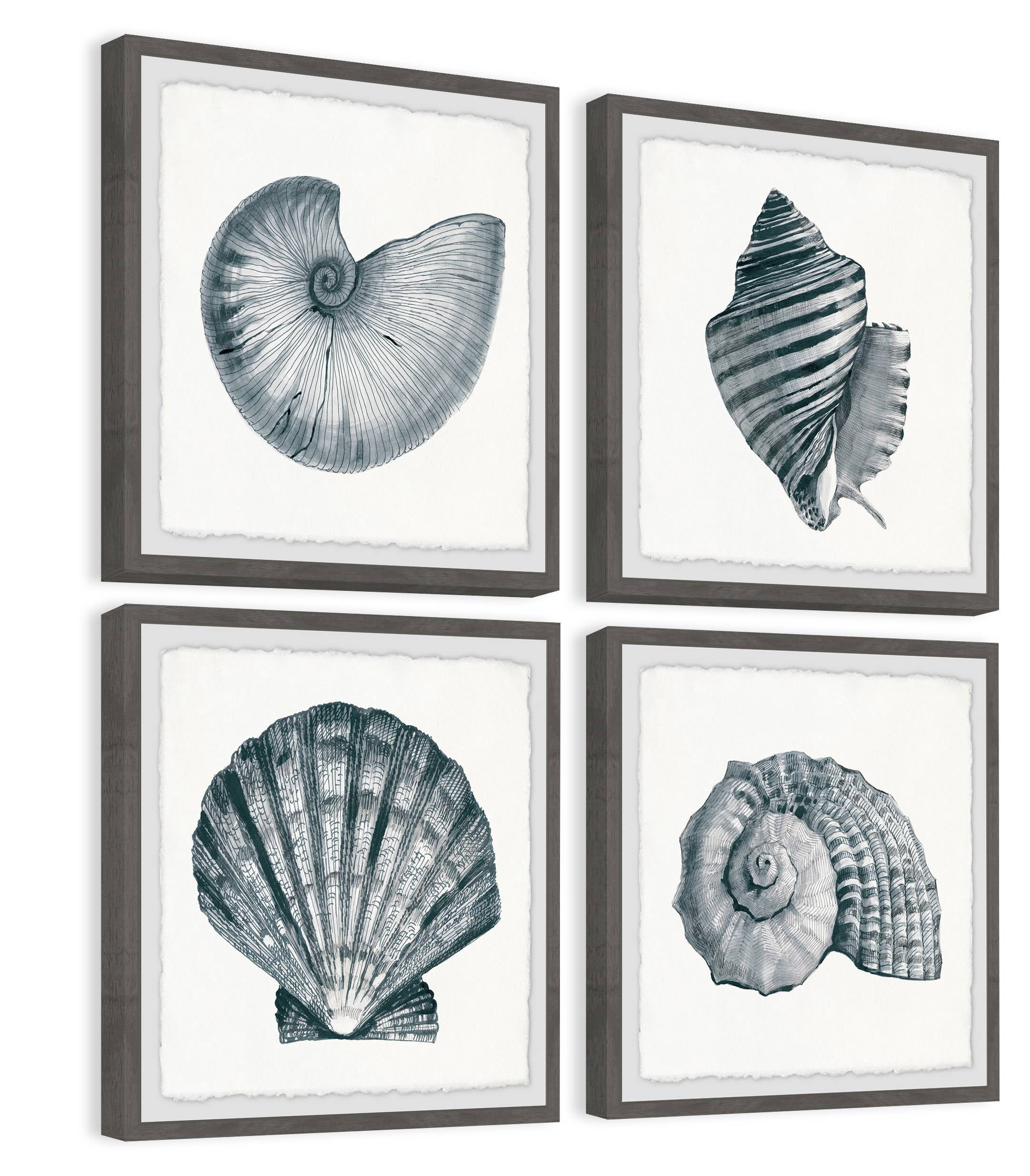 Gray Sea Shells Quadriptych