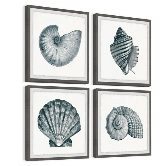 Gray Sea Shells Quadriptych
