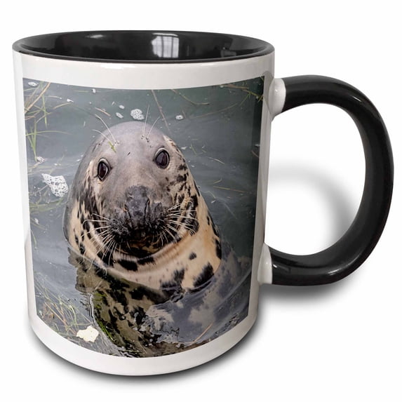 3drose, Gray Seal, 11oz Two-tone Black Mug