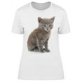 thumbnail image 1 of Gray Shorthair Kitten Sitting T-Shirt Women -Image by Shutterstock, Female Small, 1 of 2
