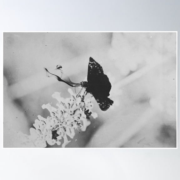 Gray Sky Ii Poster Wall Art, Modern Wall Decor, 12x18 UNFRAMED
