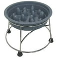 thumbnail image 1 of Gray Slow Feed Bowl w Holder, 1 of 7