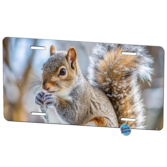 Gray Squirrel In Winter Metal Novelty License Plate