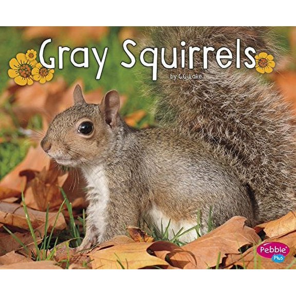 Pre-Owned Gray Squirrels (Paperback) 151570825X 9781515708254