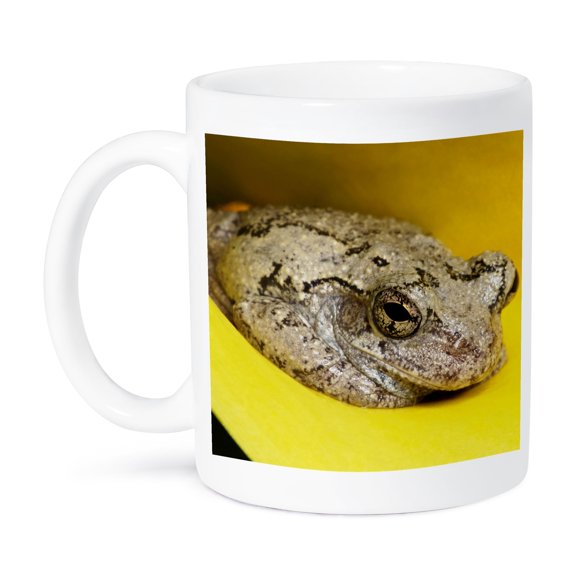 Gray Tree Frog, Kentucky, Hyla Versicolor - Us18 Aje0472 - Adam Jones, 11oz Mug