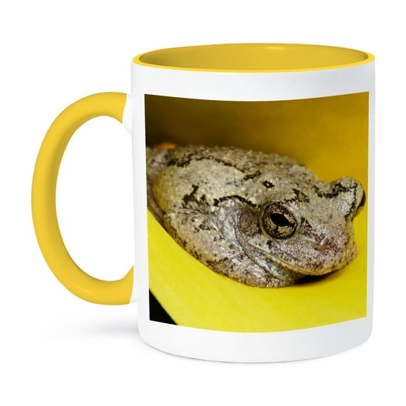 Gray Tree Frog, Kentucky, Hyla Versicolor - Us18 Aje0472 - Adam Jones, 15oz Two-Tone Yellow Mug