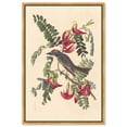 thumbnail image 1 of Gray Tyrant Canvas Print Botanical Art by Art Remedy, Gold Frame, 24 x 36, 1 of 6