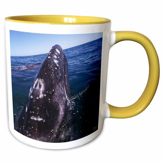 3drose, Gray Whale in San Ignacio Lagoon (eschrinchtius Robustus).pacific Ocean, in Baja California, Mexico, 11oz Two-tone Yellow Mug