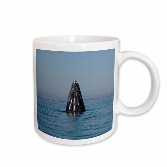 3drose, Gray Whale, Scammons Lagoon, Mexico - Sa13 Ska0031 - Steve Kazlowski, 15oz Mug