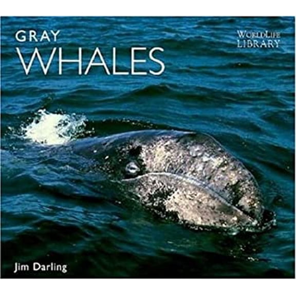 Pre-Owned Gray Whales (World Life Library : Nature) (Paperback) 089658447X 9780896584471