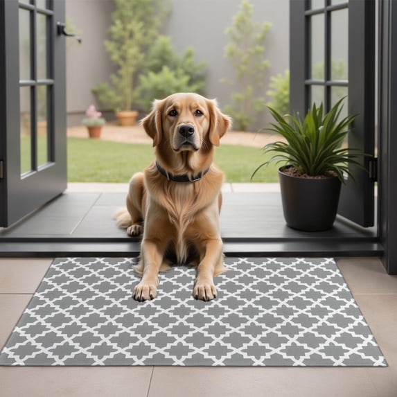 Gray and White Geometric Lattice Pattern Door Rugs,Washable Non Slip Door Mats Indoor,Decorative Door Mats,Entry Mat Indoor for Entrance,Bedroom,Kitchen,Bathroom,20"x32"