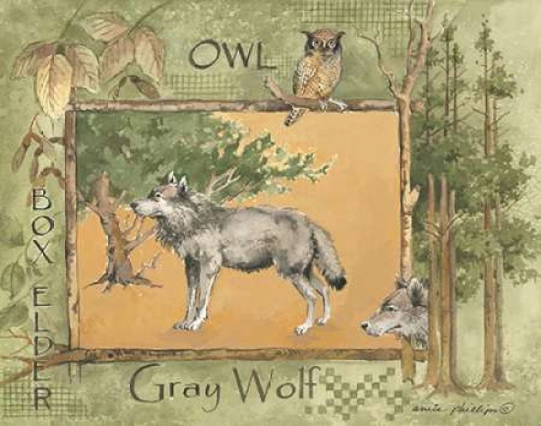 Gray Wolf Canvas Art - Anita Phillips (22 x 28)