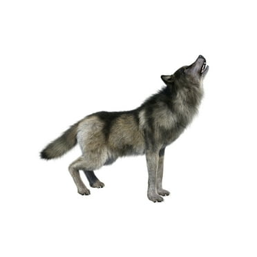 Gray Wolf Howling Isolated 3D Rendering Photo Wolf Posters For Walls Posters Wolves Print Posters Art Wolf Wall Decor Nature Posters Wolf Decorations for Bedroom Cool Wall Art Print Poster 18x12